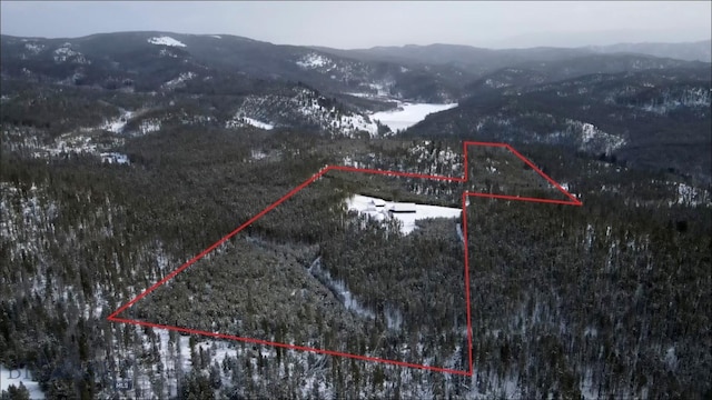 aerial view featuring a mountain view and a view of trees