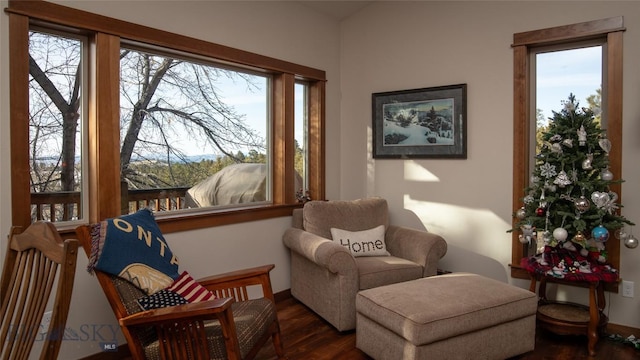 living area with plenty of natural light and dark wood-style flooring