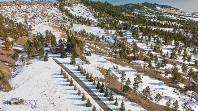 snowy aerial view featuring a mountain view