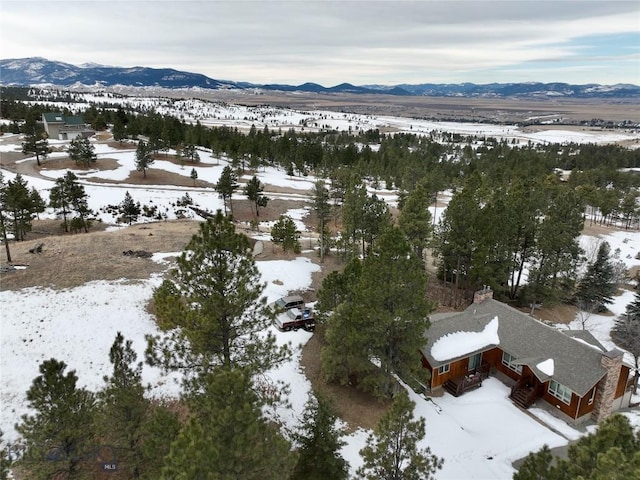 snowy aerial view featuring a mountain view