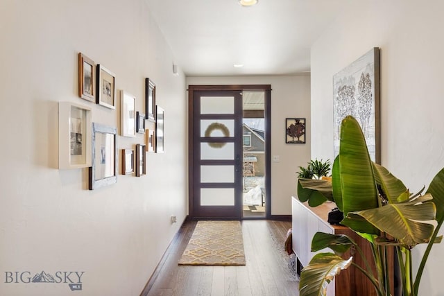 foyer with wood-type flooring and baseboards