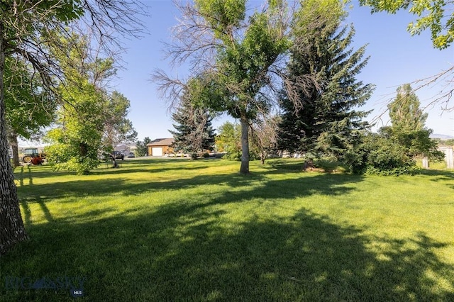 view of yard