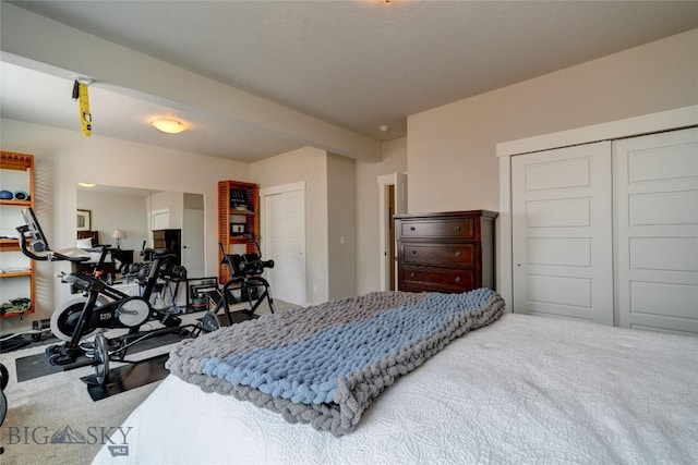 bedroom with two closets and carpet