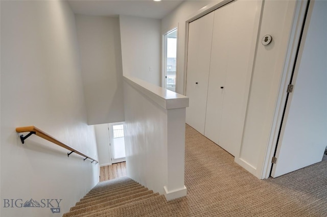 stairway with carpet floors