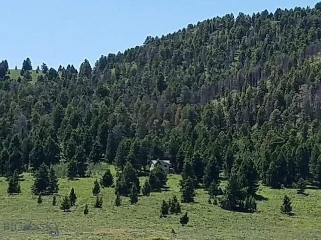 view of nature featuring a view of trees