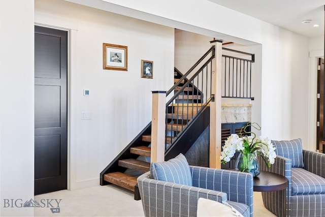 staircase featuring carpet floors