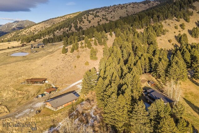 birds eye view of property featuring a mountain view and a view of trees