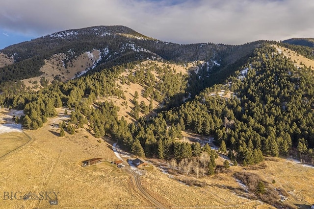 property view of mountains with a view of trees