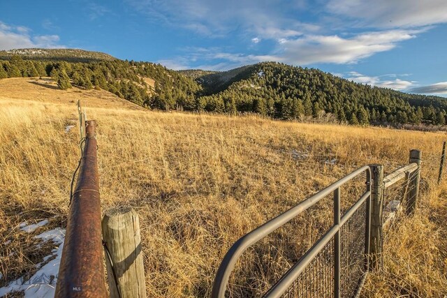 property view of mountains featuring a forest view