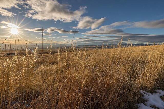 view of nature