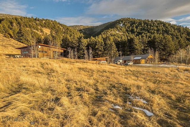 property view of mountains featuring a forest view