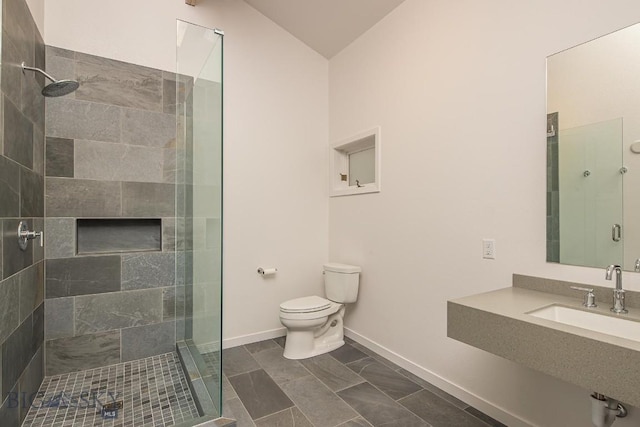 bathroom with a shower stall, toilet, and a sink