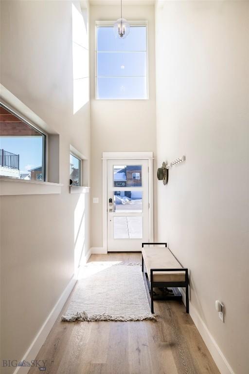 doorway featuring a high ceiling, baseboards, and wood finished floors