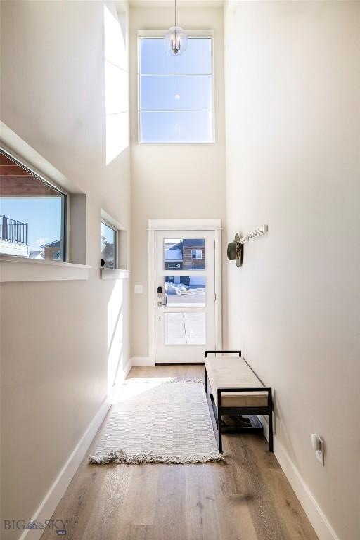 309 Meriwether, Bozeman, MT 59718 - doorway to outside with baseboards, a towering ceiling, and wood finished floors