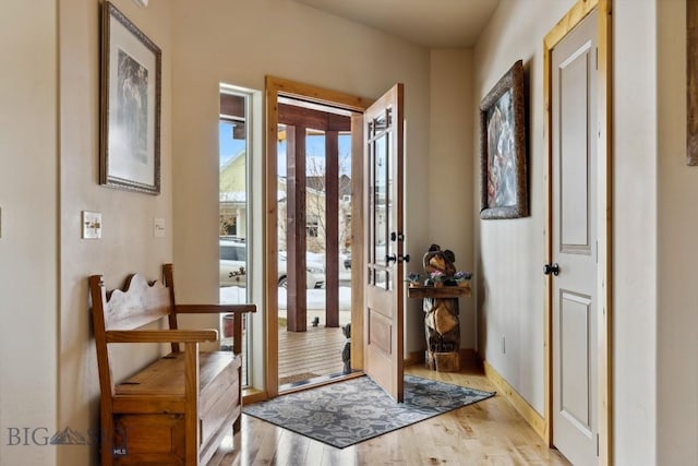 entrance foyer with wood finished floors