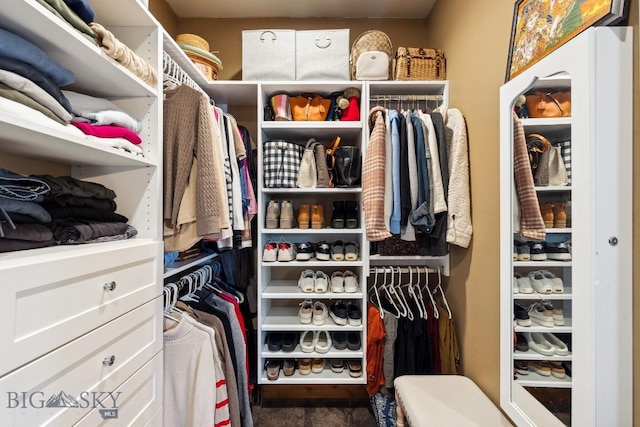 view of spacious closet