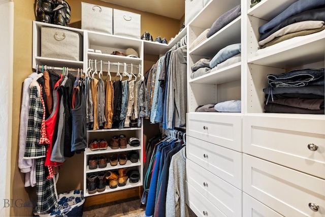 view of walk in closet