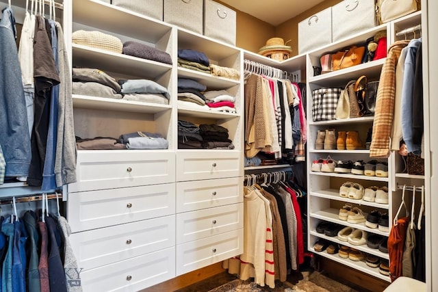 view of spacious closet