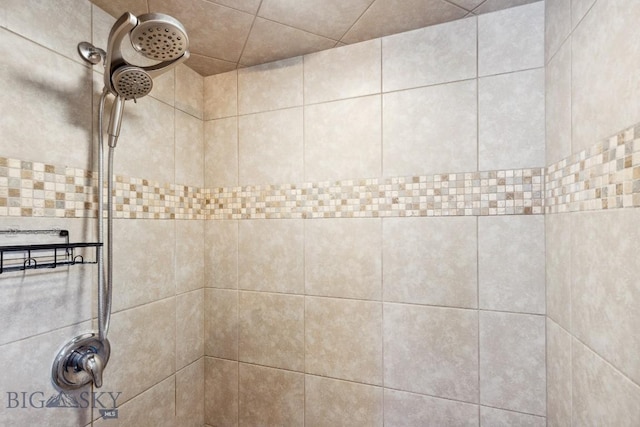 interior details featuring a tile shower