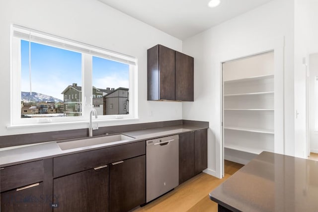 kitchen featuring a sink, light wood finished floors, dishwasher, and dark brown cabinets