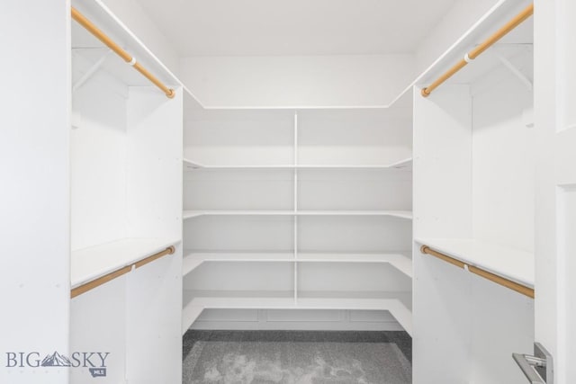 walk in closet with carpet floors