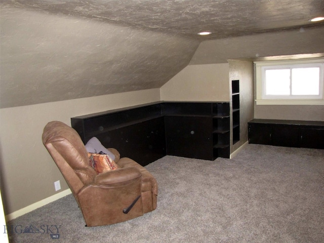 cinema featuring a textured ceiling, baseboards, carpet, and vaulted ceiling