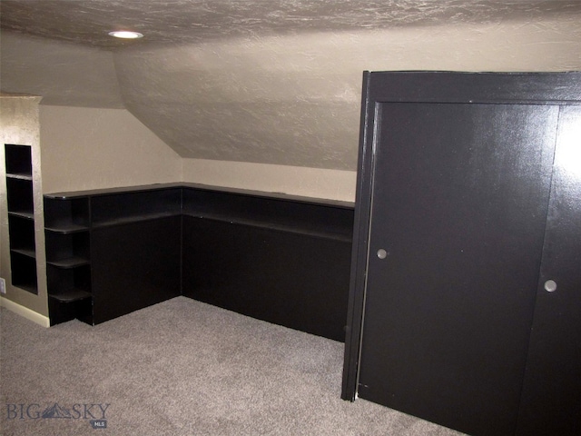 additional living space with lofted ceiling, a textured ceiling, and carpet flooring