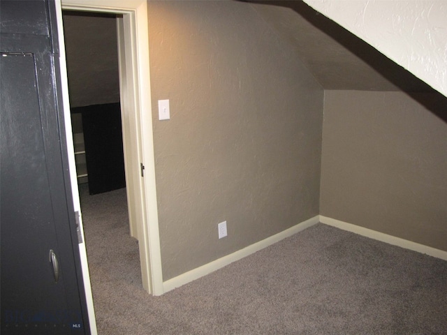 bonus room featuring baseboards and carpet