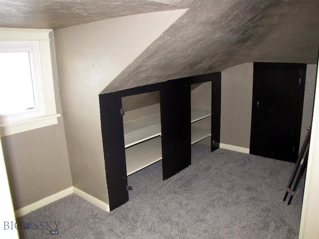 additional living space featuring lofted ceiling, baseboards, and carpet floors