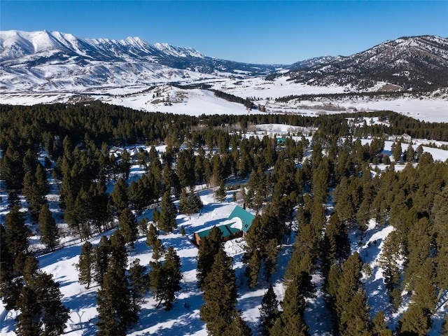 property view of mountains featuring a wooded view