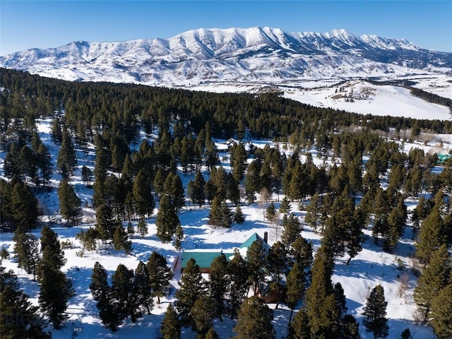 property view of mountains featuring a wooded view