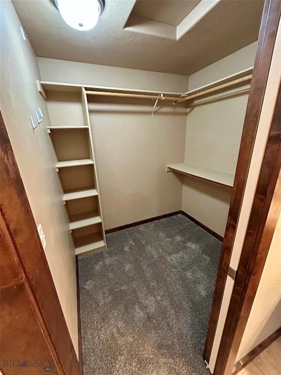 spacious closet with carpet floors