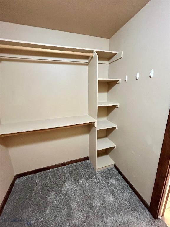 spacious closet featuring carpet