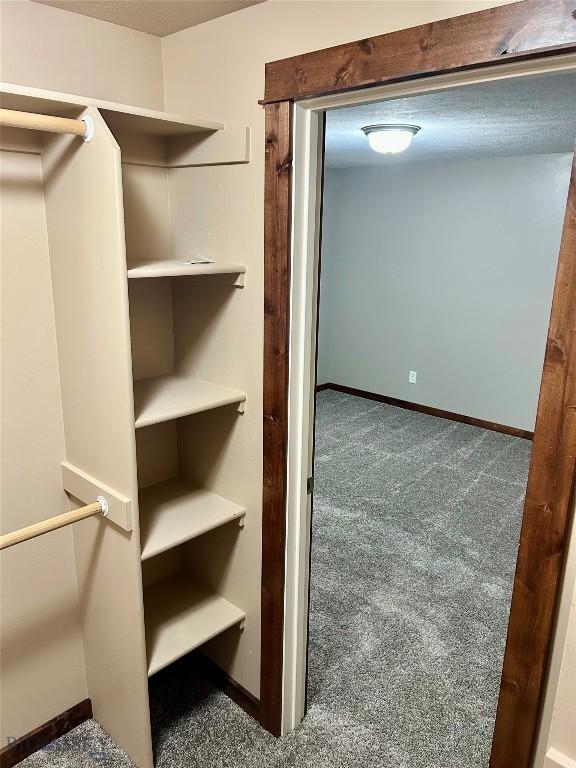 walk in closet with carpet floors