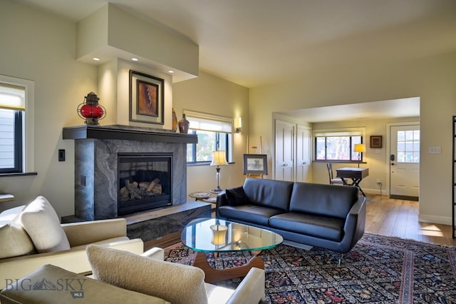 living area with baseboards, wood finished floors, and a high end fireplace