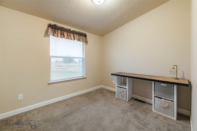 18287 Haasakker Rd, Three Forks, MT 59752 - empty room featuring light colored carpet, a textured ceiling, and vaulted ceiling