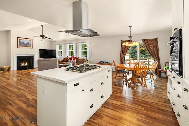 kitchen with island range hood, a lit fireplace, wood finished floors, plenty of natural light, and stainless steel appliances