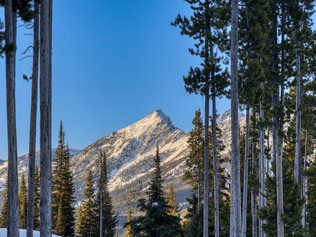 Listing photo 2 for TBD Speaking Eagle 168A, Big Sky MT 59716