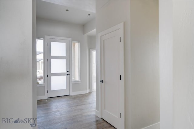 foyer entrance featuring baseboards, a healthy amount of sunlight, and wood finished floors