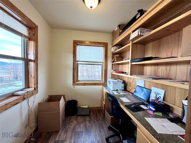 office featuring a textured ceiling, baseboards, and dark wood-style flooring