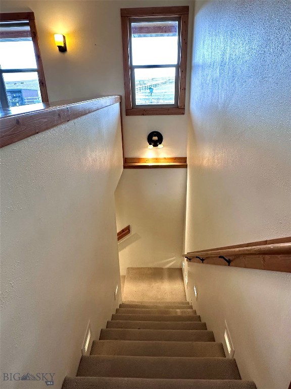 staircase featuring a wealth of natural light