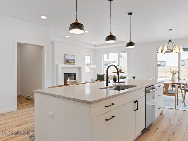 2824 S 30th Ave, Bozeman, MT 59718 - kitchen with dishwasher, a sink, light wood-style flooring, a fireplace, and healthy amount of natural light