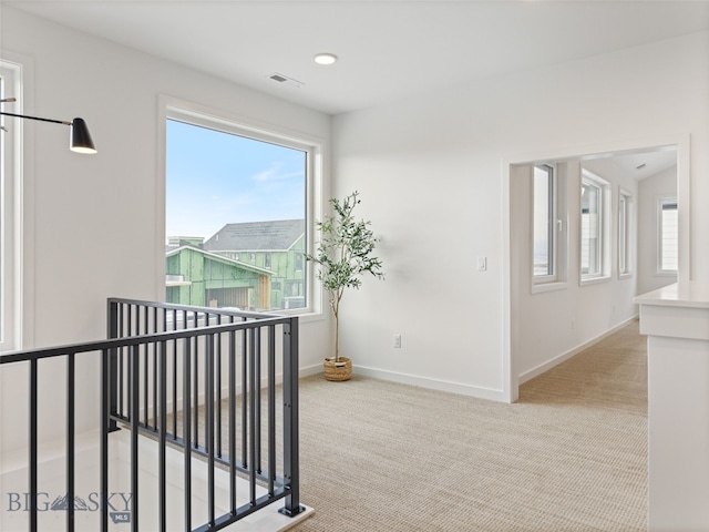2824 S 30th Ave, Bozeman, MT 59718 - photo 25
