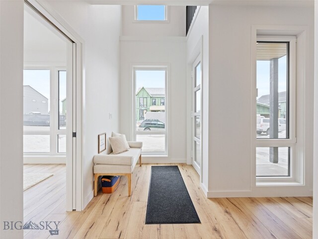2824 S 30th Ave, Bozeman, MT 59718 - foyer entrance with light wood-style flooring and baseboards