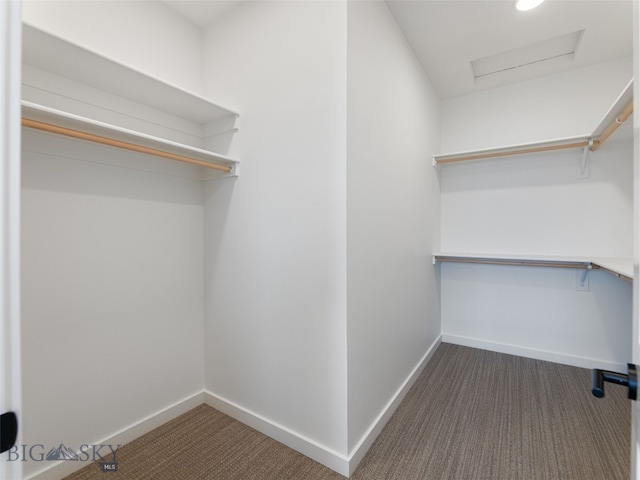 2824 S 30th Ave, Bozeman, MT 59718 - photo 31