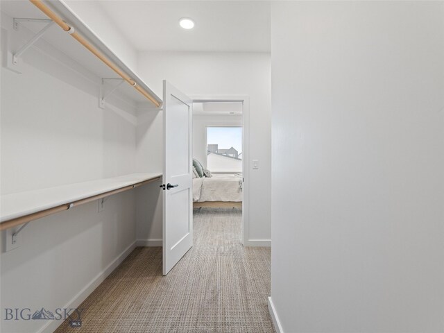 2824 S 30th Ave, Bozeman, MT 59718 - spacious closet with light carpet