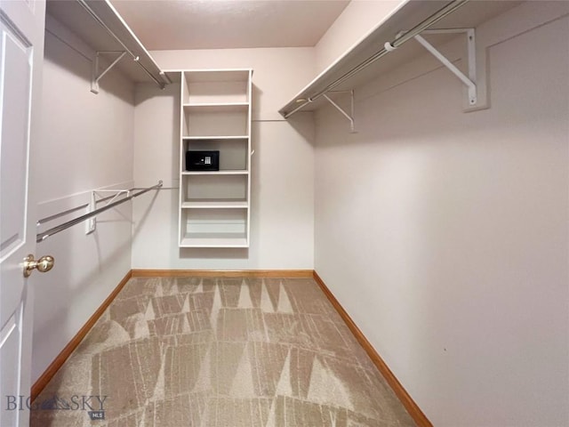 spacious closet featuring carpet