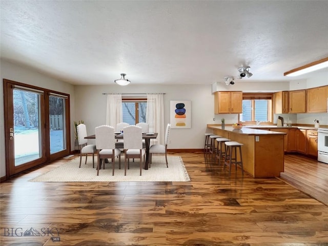 dining room with a textured ceiling and wood finished floors