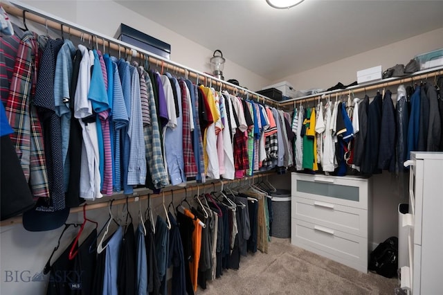 spacious closet with carpet flooring