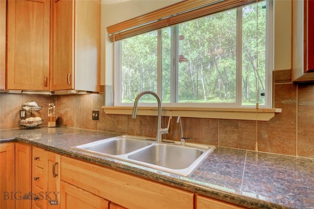 kitchen with dark countertops, tasteful backsplash, and a sink